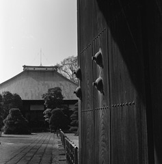 Door to the temple