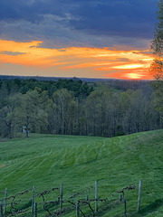 Sunset at Pleasant Hill Winery (15 Apr 2023)