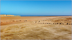 Sharm el Sheikh : Ras Mohammed - quando l'alta marea ricopre buona parte di questa grande spiaggia, la pietre indicano la parte più alta dove si può passare anche con la propria auto