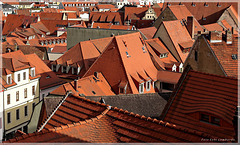 a world of roofs