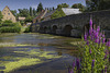 Asnières sur Vègre. ( Sarthe ) .