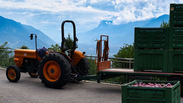 Apfelernte in Südtirol (PiP 1x)