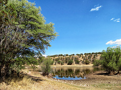 Parker Canyon Lake