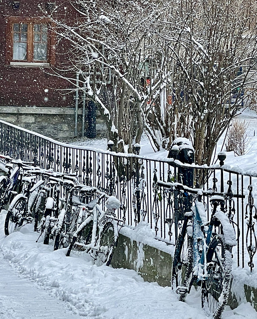 snowy bike fence