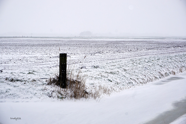 winter in de polder