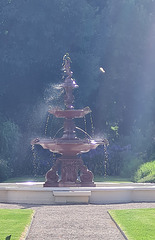 Fountain in the Botanical gardens Adelaide