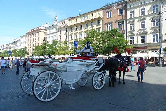 Los carruajes de Cracovia en Polonia