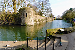 The Palace Moat,