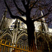 Notre Dame, de Paris...