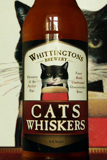Cat's Whiskers
