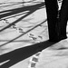 Footprints and Shadows