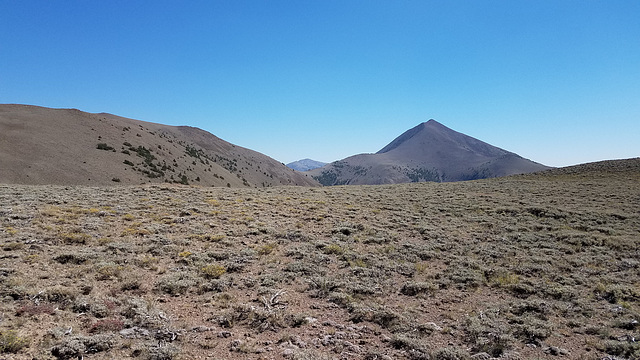 Arc Dome (11,773 ft/3588 m)