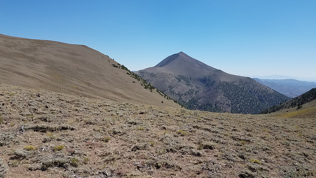 Arc Dome (11,773 ft/3588 m)
