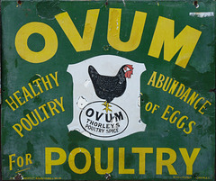 Beamish- 'Ovum For Poultry'