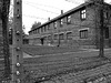 Auschwitz- Electric Fence