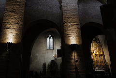 Abadia de Santa Maria d'Arles de Tec L1030474