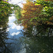 L'automne au Parc de la Tête d'Or Lyon IMG 8860