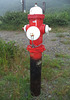 Borne-fontaine / Newfie hydrant