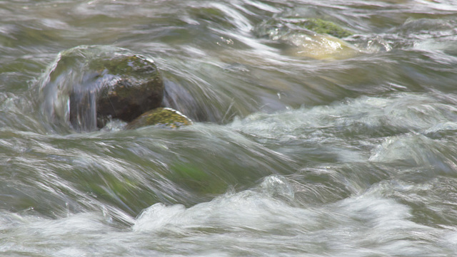 Afon Lwyd Views