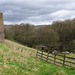 Springwater Mill