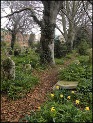 spring path in the cemetery