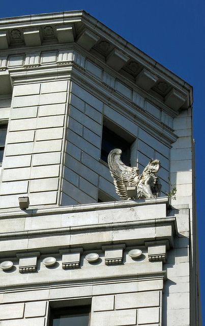 Gryphon Across From Hotel Cecil (3140)