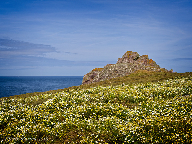 Rock Formation and Wild Flowers