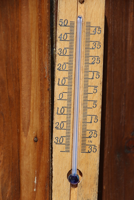 température dans ma cour cet après midi