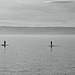 Dezember - Stand Up Paddling auf dem Bodensee