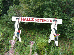 Beamish- 'Hall's Distemper'
