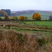 Derbyshire Level - Autumn