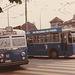 VBL (Luzern) 82 and 103 (Luzern) - 4 May 1981