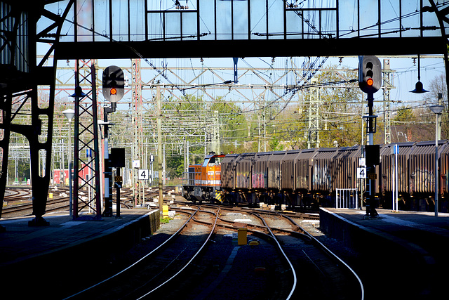 Goods train passing through Haarlem
