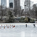 The Wollman Rink