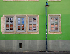 Grüne Wand