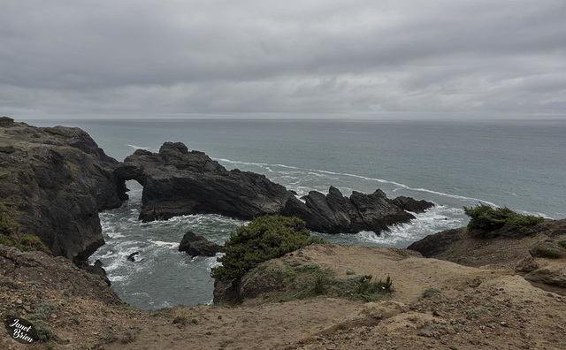 Pictures for Pam, Day 199: Natural Bridge at Whaleshead Cove