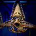 Museum Volkenkunde 2020 – Oceania – Mask of a water ghost