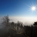 knapp über der Nebelgrenze auf dem Uetliberg (© Buelipix)