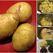 Potatoes Transition