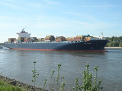 Containerschiff  MSC Ningbo