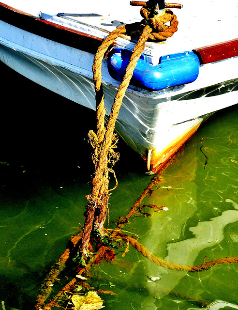 Boat, Rope, Water and Light