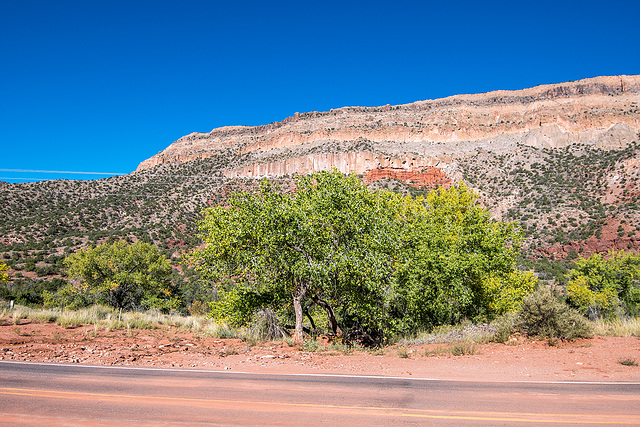 New Mexico landscape71