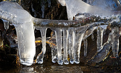 Im Bach entstehen immer sehr schöne Eiskunstwerke :))  Beautiful ice works of art are always created in the stream :))  De belles œuvres d'art sur glace sont toujours créées dans le ruisseau :))