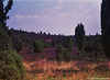 Steingrund in der Lüneburger Heide 1991