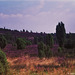 Steingrund in der Lüneburger Heide 1991