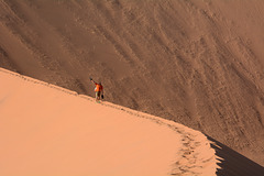 Namibia, Scene on the Crest of the Big Daddy Dunes in the Sossusvlei National Park