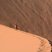 Namibia, Scene on the Crest of the Big Daddy Dunes in the Sossusvlei National Park