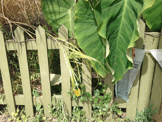 Fence with a prayer