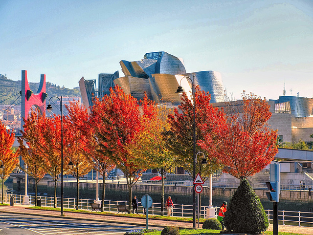 El Guggenheim en otoño. Bilbao.