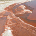 Namibia, Red Water of the Salt Pans in Walvis Bay